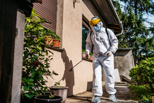 Reliable Twin City, GA Pest Control Solutions