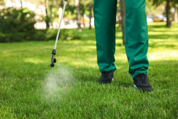 Best Mosquito Control Services  in Twin City, GA