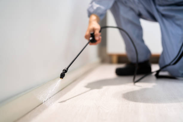 Best Pest Removal Services  in Twin City, GA