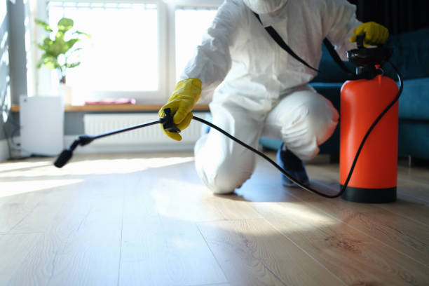 Best Flea Control Services  in Twin City, GA