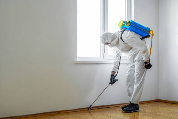 Best Pest Prevention Services  in Twin City, GA
