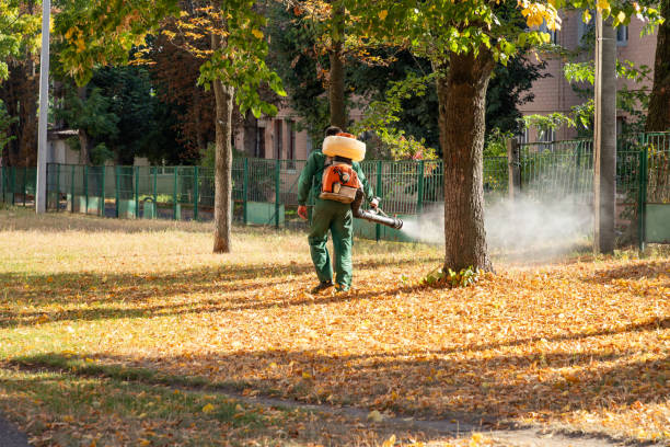 Best Rat Extermination Near Me  in Twin City, GA