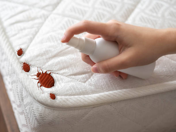 Pest Prevention Services in Twin City, GA