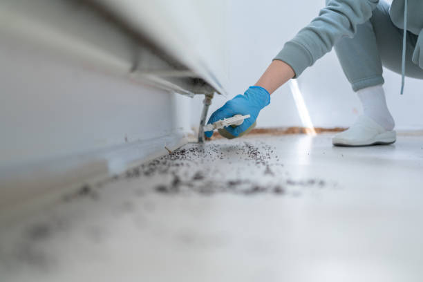 Best Mosquito Control Services  in Twin City, GA