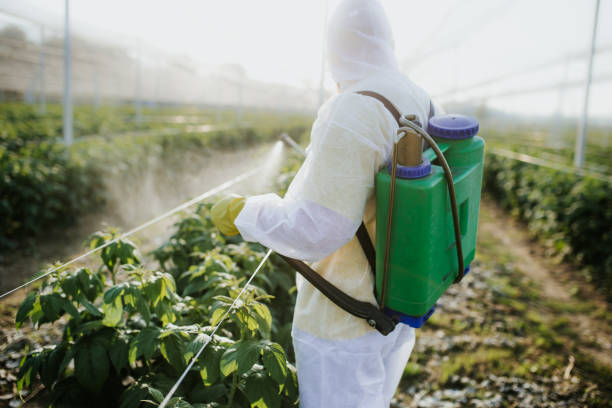Best Best Pest Control Companies  in Twin City, GA